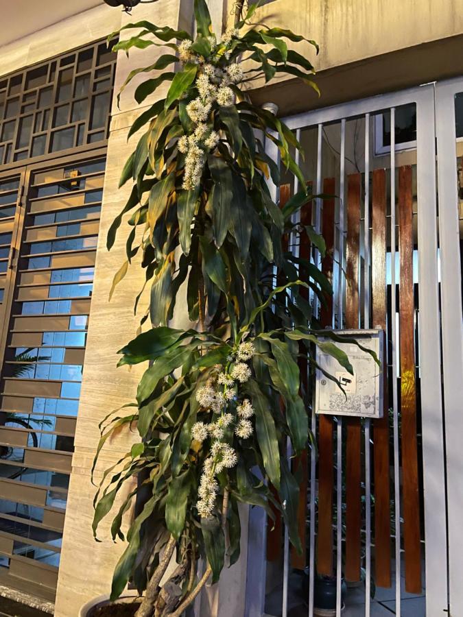 May Residence-800M From Opera House Ханой Екстериор снимка